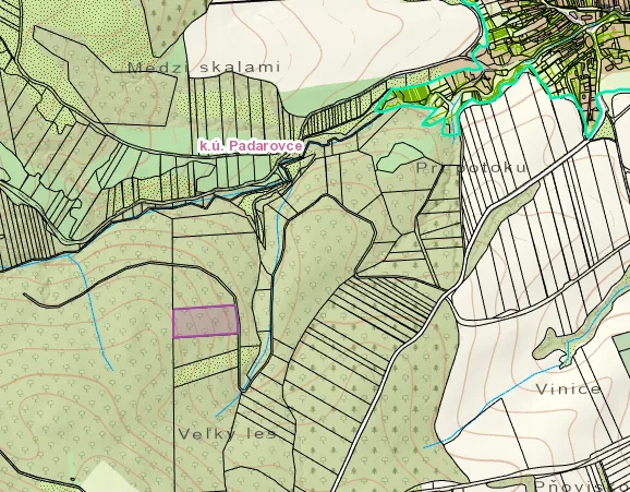 Lesný pozemok - k. ú. Padarovce
